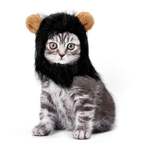Legendog Cat Costume Halloween Bat Wings Pet Costumes Pet Apparel for Dogs and Cats (Lion Mane)
