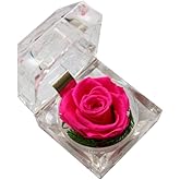 BESTonZON Preserved Flowers Box with Never Withered Rose for Valentine Anniversary Birthday Mini Eternal Rose Display for Women Girlfriend Mom Romantic Home D Cor