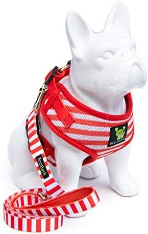 EcoBarkDog Harness and Matching Leash Combo Set; Soft Double Padded, Fully Adjustable Neck and Tummy for Small and Medium Dogs (Small, Stripe)