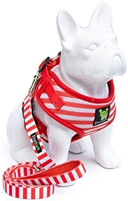 Matching harness and leash for dogs Clearance