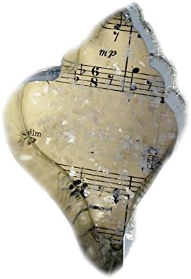 Nautical Conch Shell Cookie Cutter Ornament