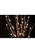 The Light Garden WLWB60 184136 Decorative Lights, 20 in