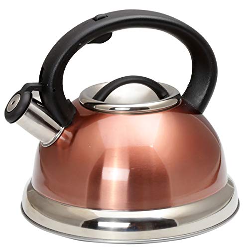 Creative Home 77066 Alexa Stainless Steel Whistling Tea Kettle with