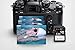Sony SF-G32/T1 High Performance 32GB SDHC Uhs-II Class 10 U3 Memory Card with Blazing Fast Read Speed Up to 300MB/S