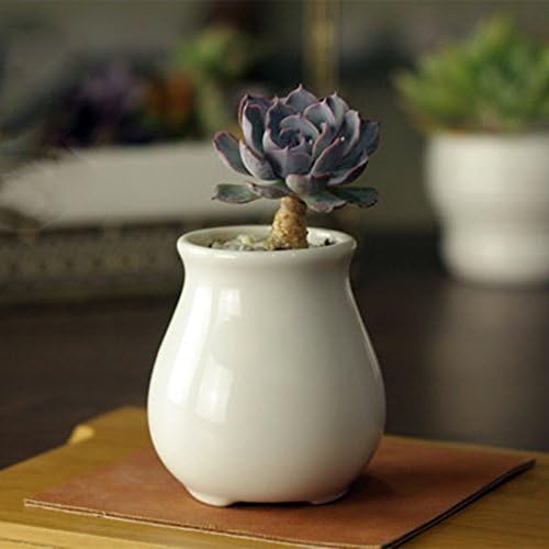 Netral Ceramic White Sucuulent Plant Pot, Planter Pot /Small Decorative Display Bowl (D04)