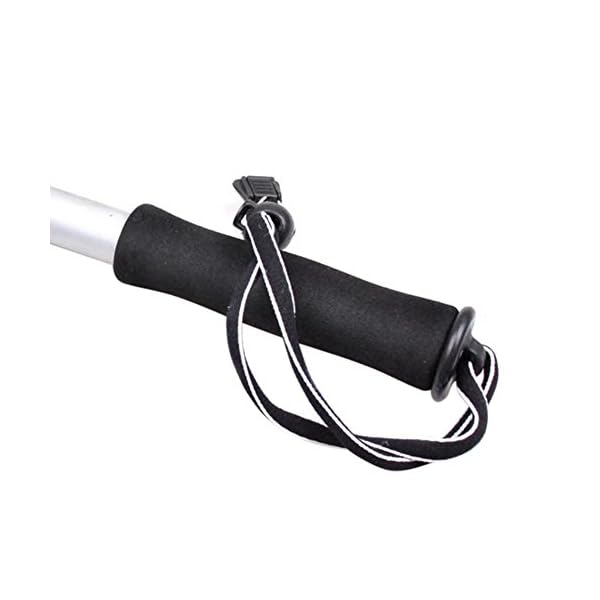 DrFish-Saltwater-Boat-Fishing-Landing-Gaff-Stainless-Steel-Hook-Retractable-24 DrFish-Saltwater-Boat-Fishing-Landing-Gaff-Stainless-Steel-Hook-Retractable-24