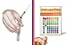 HealthyWiser - pH Test Strips 0-14, Universal Application, Results in Seconds, 100-Count