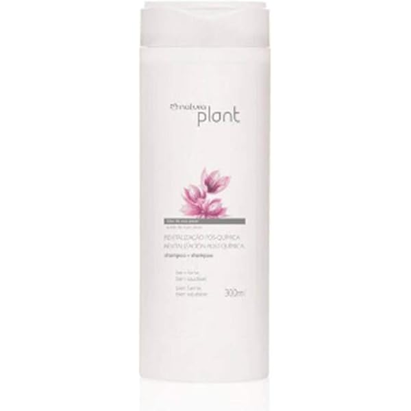 Top 91+ imagen shampoo natura post quimica ingredientes Abzlocal.mx