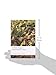King Solomon's Mines (Oxford World's Classics)