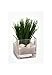 Flower Glass Vase Decorative Centerpiece for Home or Wedding by Royal Imports - Clear Glass, Cube Shape, 6