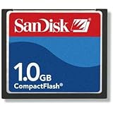 Sandisk 1GB CompactFlash Card (SDCFB1024800)