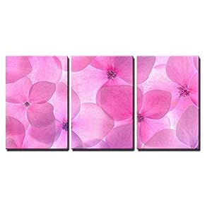 3 Piece Canvas Wall Art - Pink Flower Background Close Up. Romantic and Love Pattern - Modern Home Art Stretched and Framed Ready to Hang - 16"x24"x3 Panels