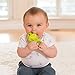 Infantino Squeeze and Teethe Textured Pal, Frog