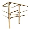 Log-Kayak-Rack-4-place-for-Burying-Log-roof-framing