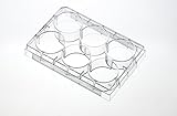 EarthOx Sterile Tissue Culture Plate 6 Well -Surface Treated (4 Plates)