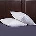 puredown® Feathers Throw Pillow Inserts Set of 2 for Couch, Recliner, Bed Decor, Square, 16 x 16 inch