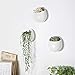 Mkono 4 Inch Wall Mounted Planter Round Ceramic Hanging Plant Holder Decorative Flower Display Vase Succulent Pots for Indoor Plants, Set of 3, White (Plants NOT Included)thumb 1