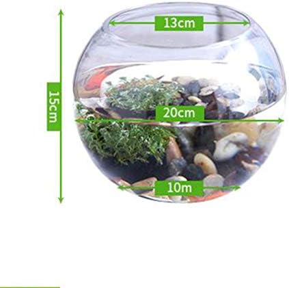 超定番 透明な小さな金魚タンクガラス水槽を見る丸い大型コンテナミニクリエイティブシェイプ水草が付いている家の装飾 cm