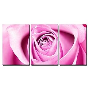 3 Piece Canvas Wall Art - Single Rose Closeup - Modern Home Art Stretched and Framed Ready to Hang - 16"x24"x3 Panels