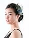 Aukmla Peacock Feather Headband, Hair Accessories for Women and Girls on Party and Evening.,multi,Free Size