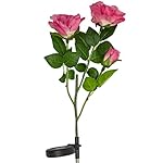LED Concepts SLR-RSPI Solar Powered Garden Outdoor Decorative Landscape Lights Year, Pink Rose