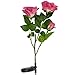 LED Concepts SLR-RSPI Solar Powered Garden Outdoor Decorative Landscape Lights Year, Pink Rose