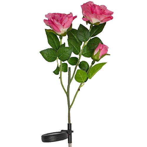 Led concepts solar rose lights - solar powered outdoor …