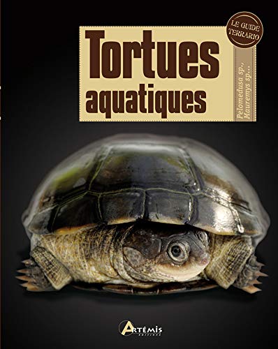 Tortues aquatiques by David-T Kirkpatrick