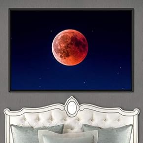 signwin Framed Canvas Wall Art Lunar Aerial Astronomy...