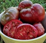 Black Krim Tomato Seeds ► ORGANIC HEIRLOOM NON-GMO ◄ Rare Russian Black Krim (PowerGrow Systems Pack of 30+ Seeds)