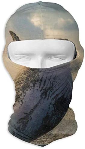 HU MOVR Balaclava Whale Shark Near Island Full Face Masks Ski Motorcycle Neck Hood Cycling