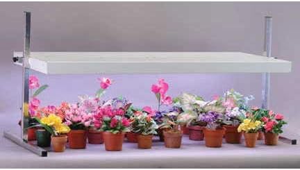 tabletop plant light