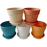 Axe Sickle 3.9x3.5 inches Colorful Plastic Plant Pots Planter,Mini resin plastic flower seedlings nursery pot,Garden Plant Pot Home Decoration,Flower Pot with Pallet(5 Pcs)