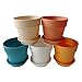 Axe Sickle 4 Inch Colorful Plastic Planter, Indoor Flower Pot, Mini Plastic Flower Seedling Nursery Pot, Garden Plant Pot Home Decoration, Flower Pot with Pallet 5 Pcs.