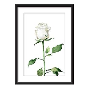 Framed Wall Art - Hand Drawn White Rose - Giclee Printed Art in Black Picture Frames White Matting - 23x31 inches