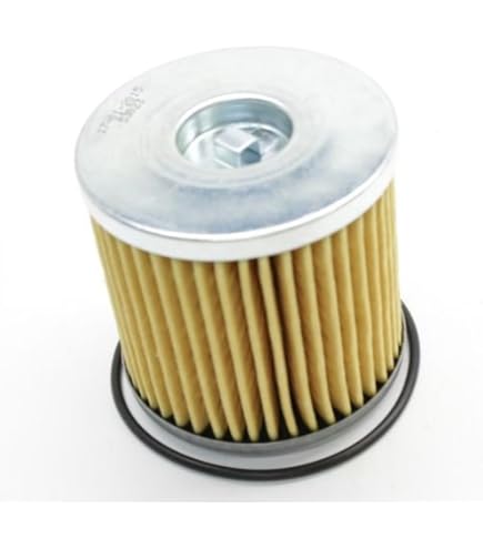 Amazon.com : Ferris Mower 5101987X2 KIT FILTER ZT540 : Patio