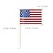 TINKSKY US Flag Picks American Flag Food Toothpicks Party Accessory Party Favors, Pack of 100