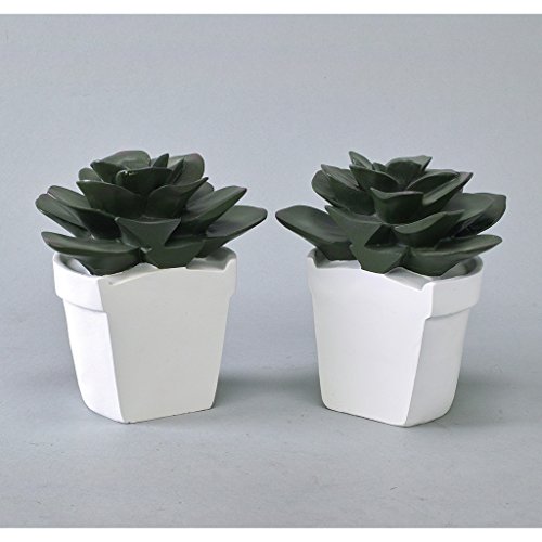 Time Concept Bibury Resin Liberty Farm Cactus Bookends Organizer - Book Organizing Tool