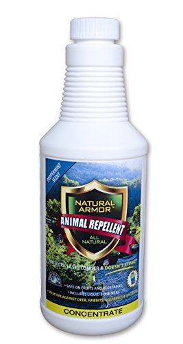 Repellent Spray for Rodents & Animals. Cats, Rats, Squirrels, Mouse & Deer. Repeller & Deterrent for Dogs, Critters, Mice, Raccoon & Skunk. Natural Armor Peppermint Pint Concentrate