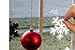R N' D Christmas Snowflakes Window Clings- White Winter Snowflakes Sticker Decorations - 81 Stickers