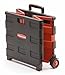 Rubbermaid 3N83 Collapsible Cargo Crate