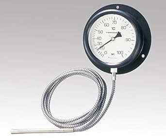 【クリックで詳細表示】壁掛け式隔測温度計 0～100℃ /1-2584-02