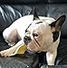 Cowdog Chews Natural Rawhide Chips – Premium Long-Lasting Dog Treats with Thick Cut Beef Hides (5 Lb)
