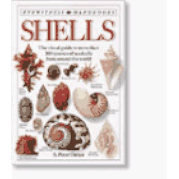 The Encyclopedia of Seashells: Gary Rosenberg: 9780880298230