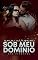 Livro UMA VIRGEM SOB MEU DOMÍNIO