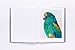 Bird Love: A Photography Book