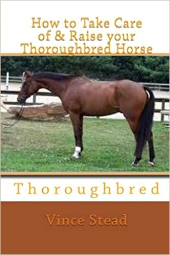How To Take Care Of Raise Your Thoroughbred Horse Amazon De Stead Vince Fremdsprachige Bucher