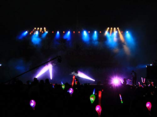 image for Fansport 12PCS Shaker Toy Musical Toy Party Maraca Portable Cheering L