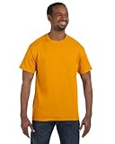 Gildan Men's Heavy Cotton 5.3 Oz. T-Shirt (G500)