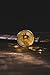 Gold Bitcoin Coins By CryptoNow | 3PCs Triple Gold Bitcoins Set, Collectors Shiny Gift Token, Blockchain Coin, Collectible Collection Coin